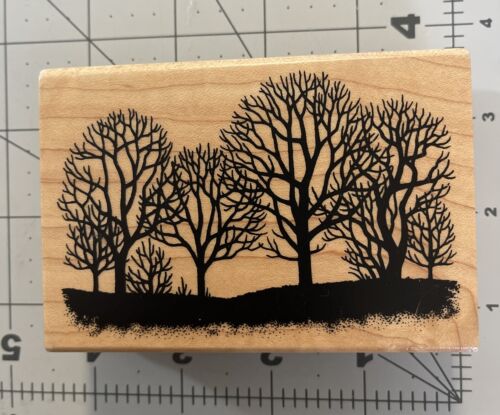 Bare Trees Fall Silhouette  Scene  Craft