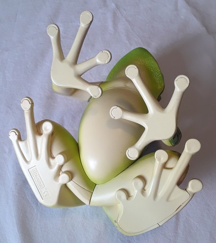 4D Vision Frog Anatomy Model