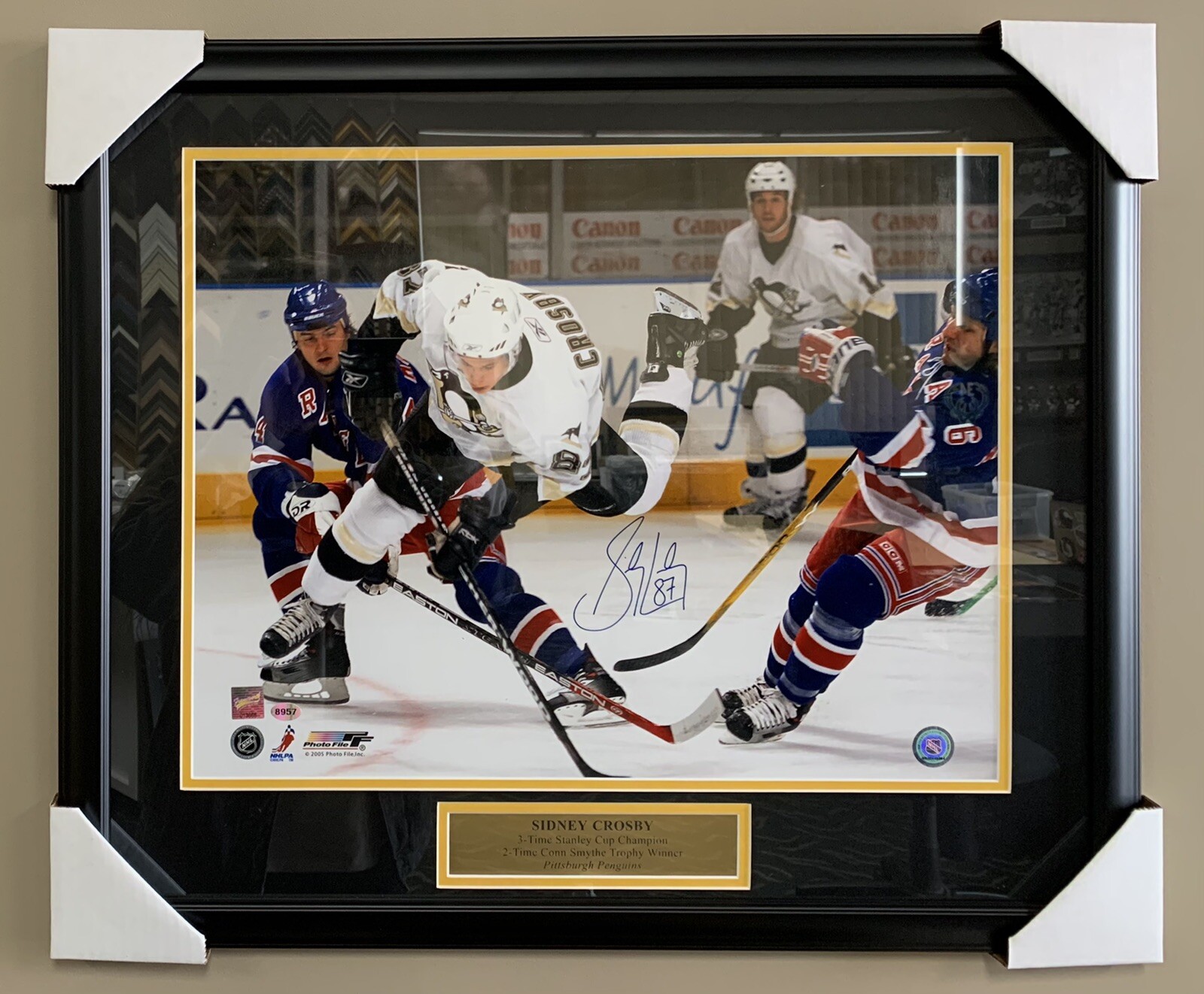 frameworth custom framing