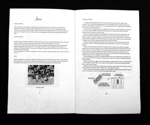 Beekeeping Monthly Guide, A Guide To Procedures ,& Questions In Beekeeping