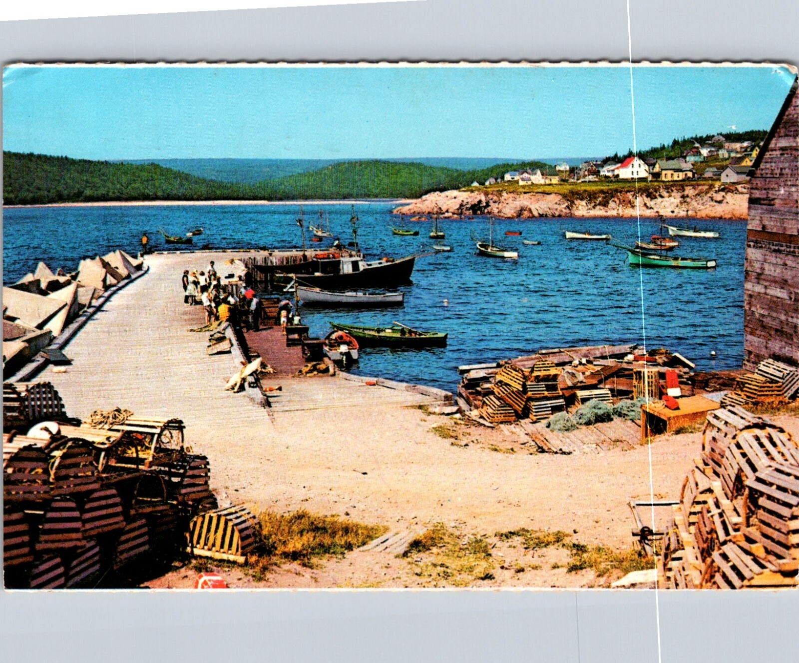 Neil's Harbour Cape Breton Nova Scotia Canada Vintage Postcard Posted
