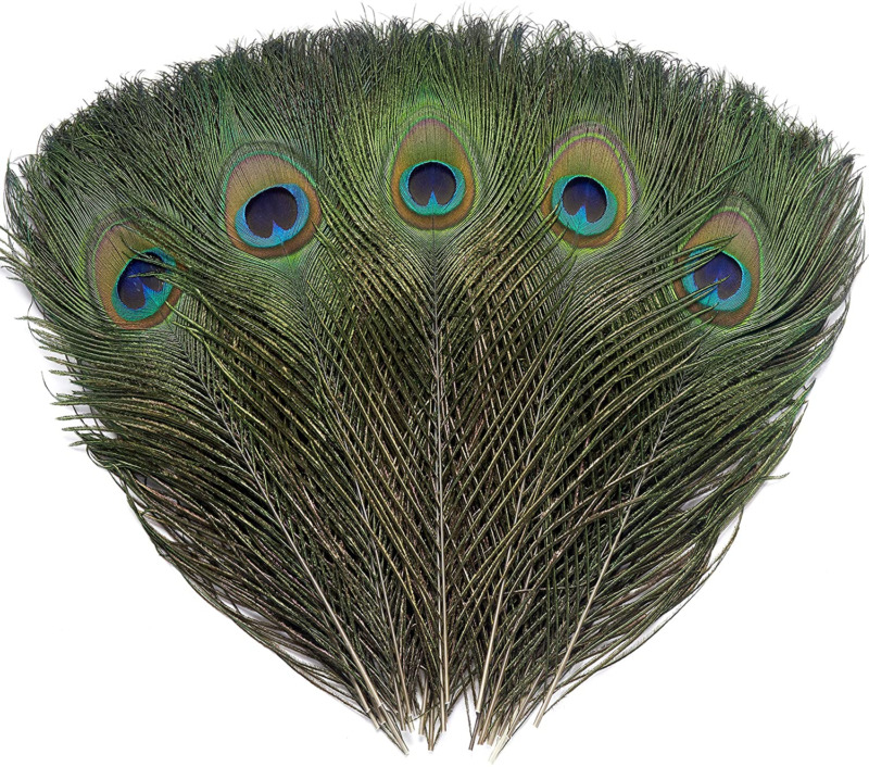 12 Pcs Real Natural Peacock Eye Feathers 10-12 Inch For Diy Craft, Wedding And H
