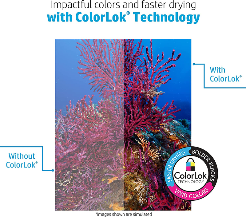 HP Printer Paper 8.5 x 11 Paper Copy &Print 20 lb 1 Ream Case - 500 Sheets