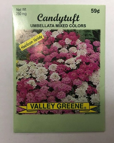 6 Packs Valley GreeneHeirloom Variety Umbellata Mixed Colors Candytuft 250mg/bag