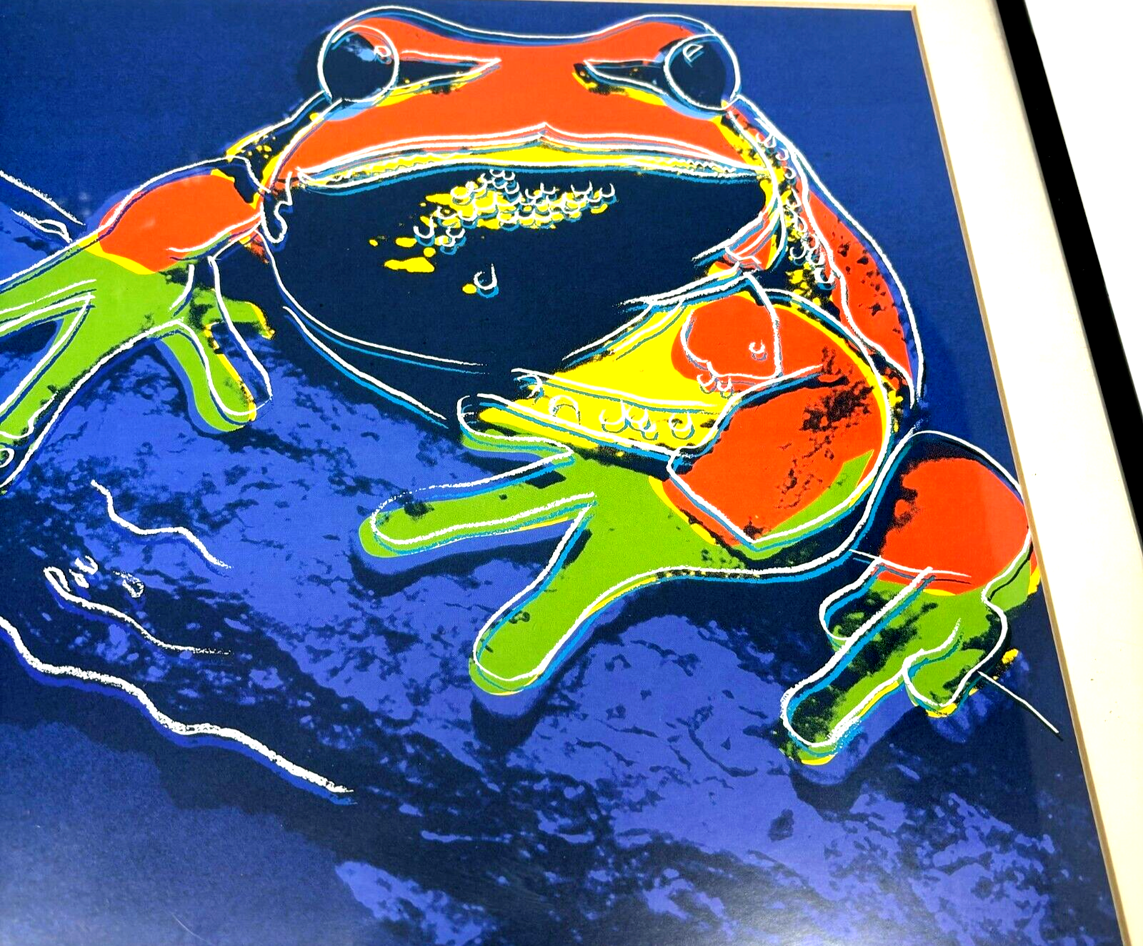 Andy Warhol 1983 "Pine Barrens Tree Frog" Litho Print Framed 1989 AW Foundation