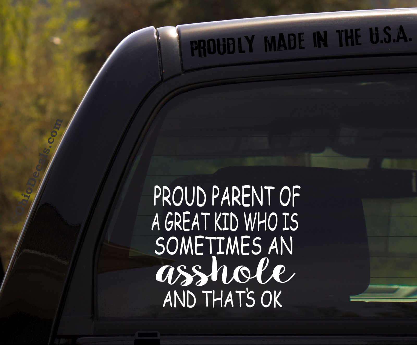 Proud Parent Of A Great Kid Who Is Sometimes An Asshole Proud Parent Of A Great Kid Who Is Sometimes An Asshole