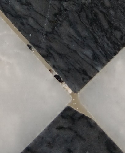 Foto dell'oggetto di un acquirente verificato