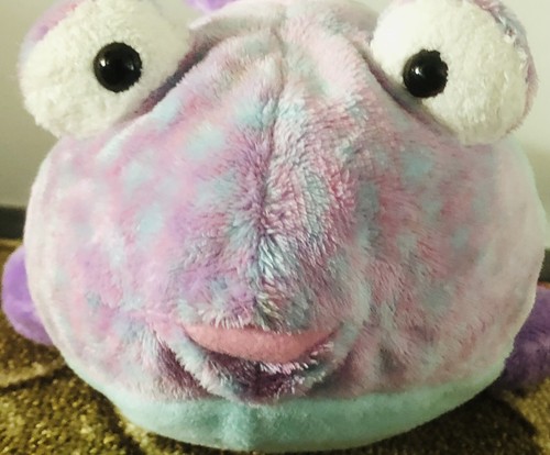 💕TY Pluffies “ Google” the Fish Classic Beanie Babies 2003 TY Lylux Soft Fluffy