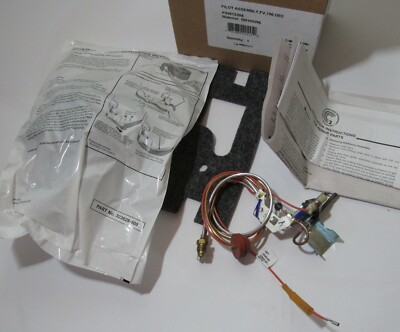PROSELECT PSW12205 FV PILOT ASSEMBLY FOR AO SMITH C3 NATURAL