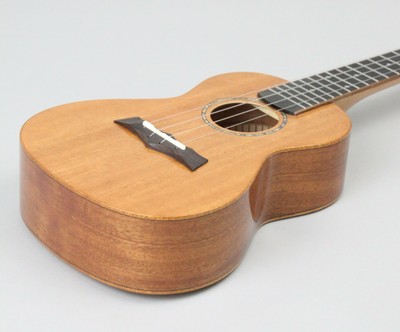 Amati's Snail Uke Mahogany Gloss | Concert Ukulele With Gloss Finish