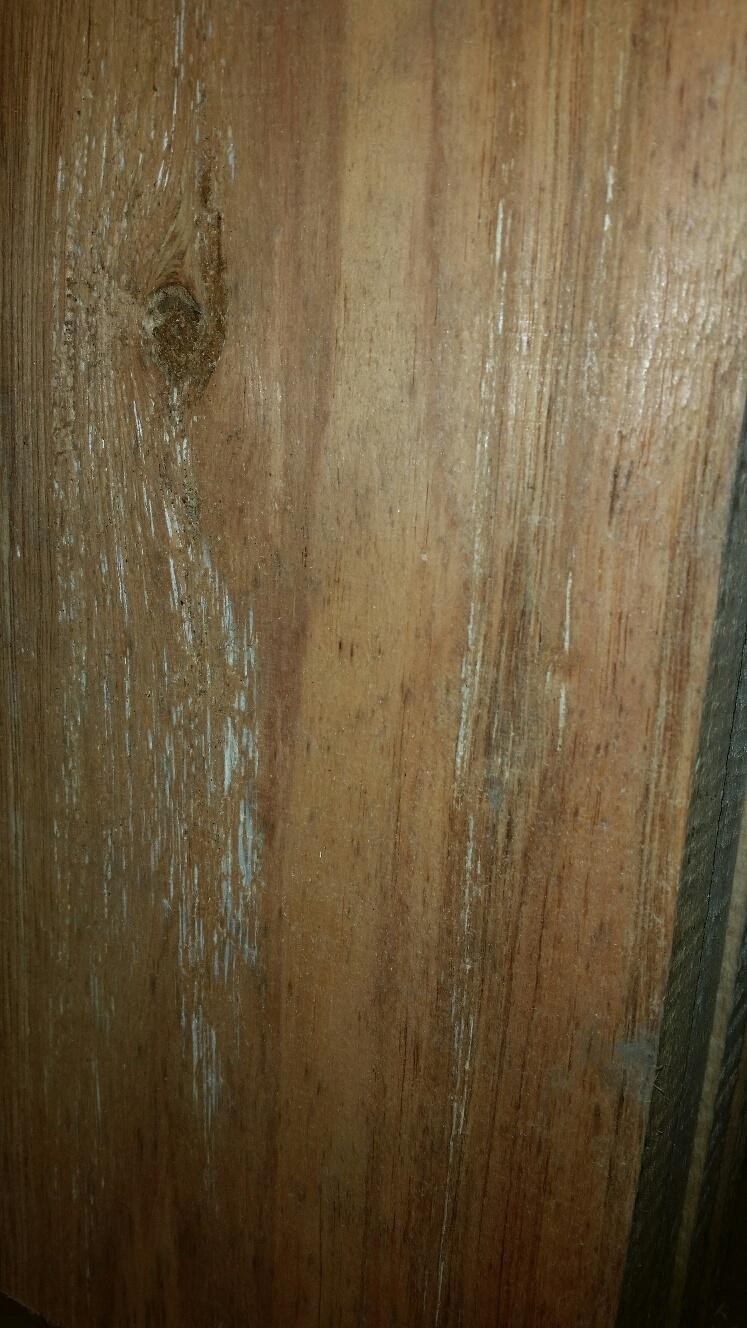 Saw mill rough cut wood slab. Spalted ambrosia craft barn wood rustic