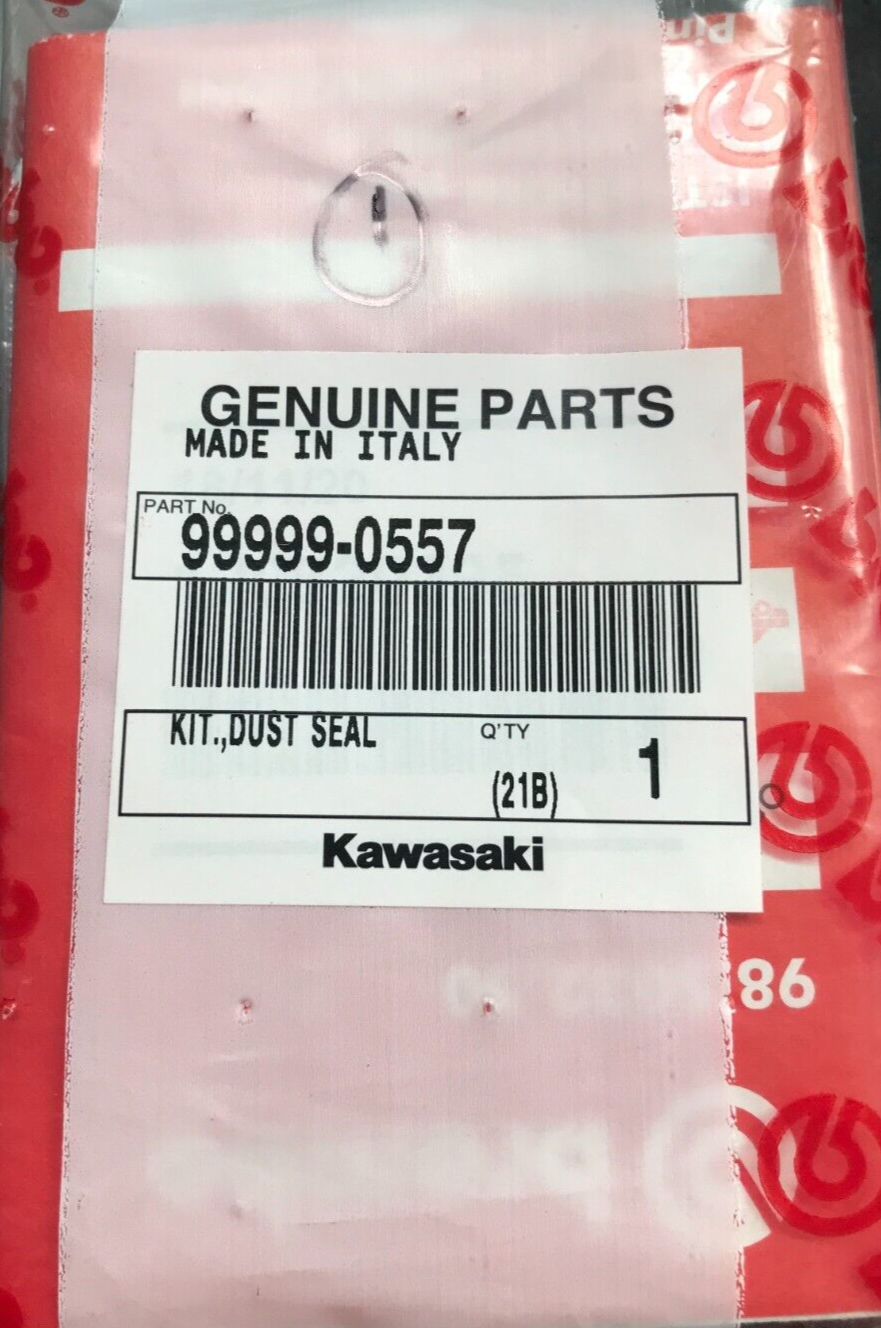 『TEN BEACH L』 TEN BEACH L』 Kawasaki Ninja Zx 10R Motorcycles For Sale in