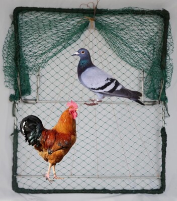 Bird Hunting Net Humane Live Pigeon Bird Sparrow Trap Gardening Plant Supplies