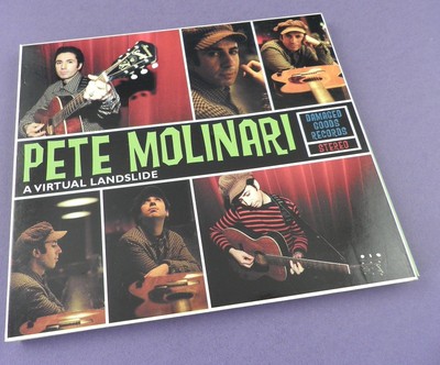 Pete Molinari - A Virtual Landslide CD 2008
