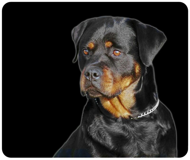 MOUSE PAD CUSTOM THICK DOG MOUSEPAD - ROTTWEILER - ADD ANY TEXT FREE