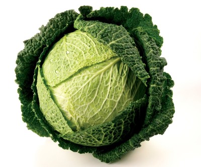 800) savoy cabbage seeds vertus 2 the best flavoured cabbage