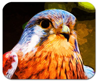Mouse Pad Custom Personalized Thick Mousepad - Kestral - Add Any Text Free