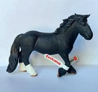 Foto dell'oggetto di un acquirente verificato