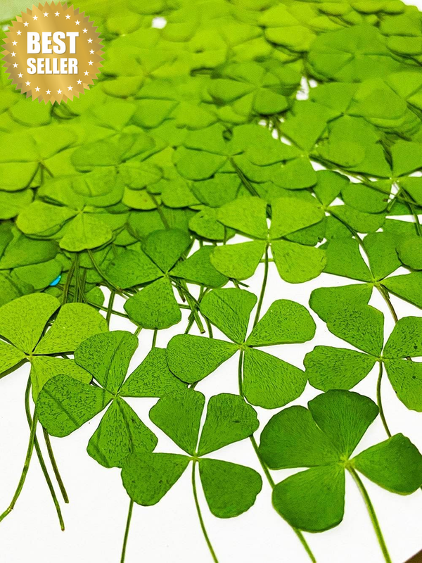 24 Pcs Mix Lucky Clover Natural Dried Pressed Flowers for Resin, Jewelry Making,