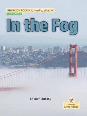 In the Fog by Kim Thompson Paperback Book