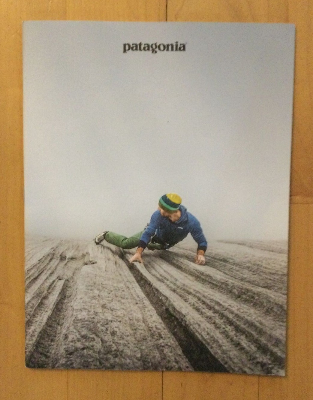 パタゴニア　カタログ　2016年 パタゴニア カタログ 2016 patagonia 【公式通販】