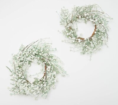Winter Garden S/2 18'' Frosted Berry & Cedar Rings by Valerie in White