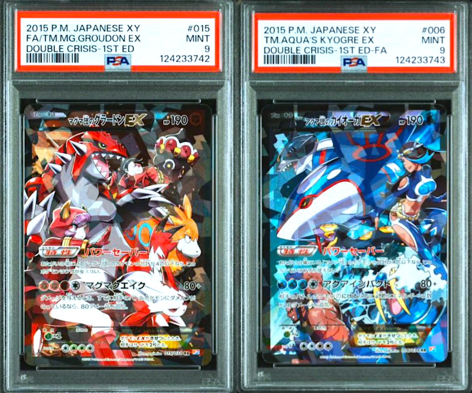 PSA9 サンダース マグマVSアクア PSA9 サンダース マグマVSアクア