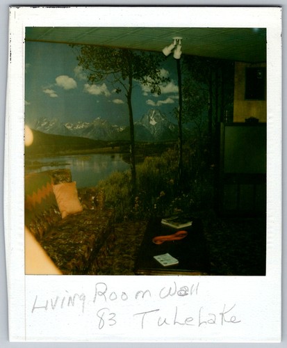 Vtg Polaroid Snapshot Photo Mountain Scenic Mural Living Room Tulelake