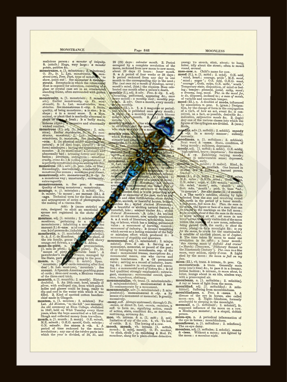Dragonfly Dictionary Art Print Vintage Book Page Picture Poster