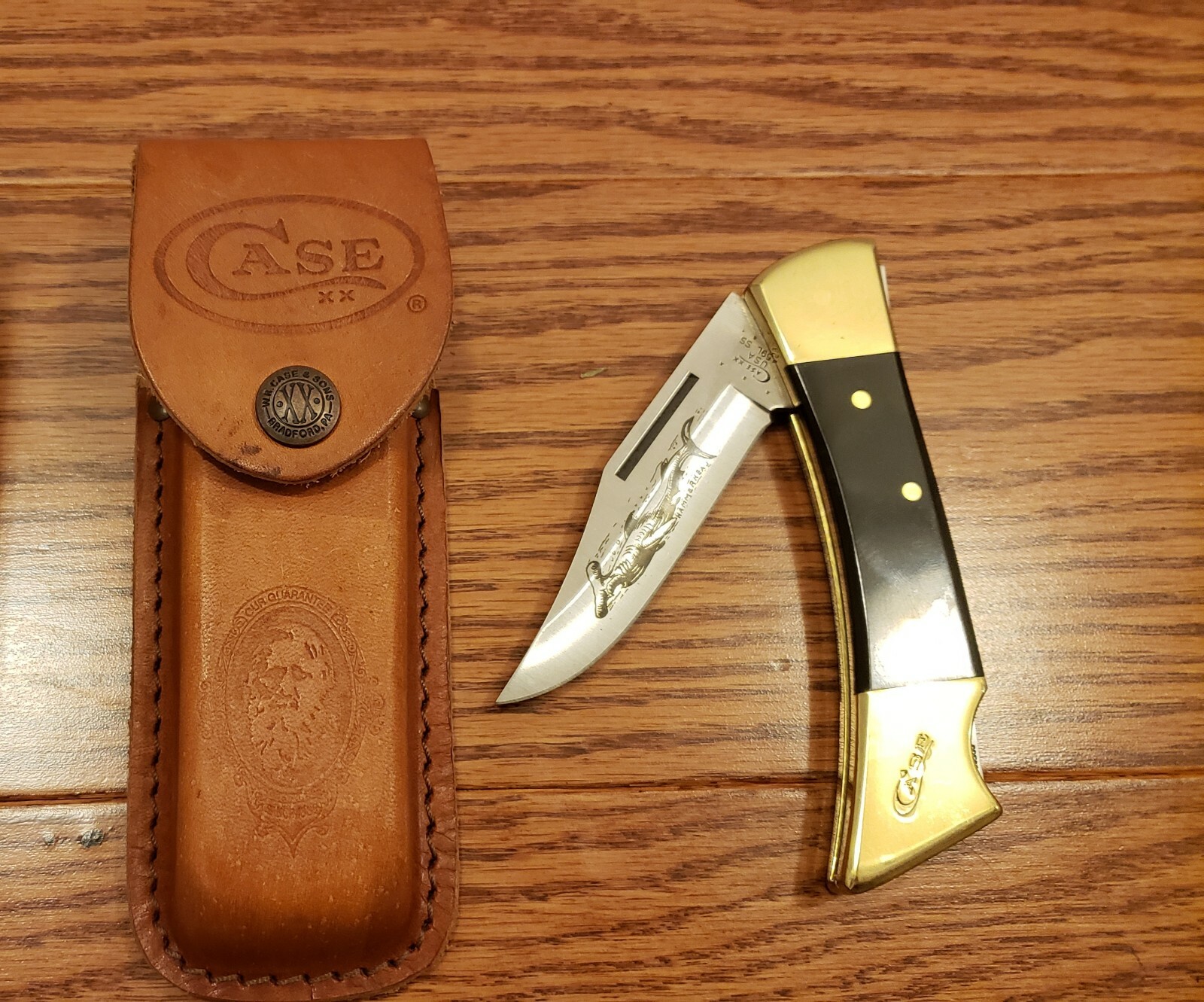 Wow! Genuine Case Knife Series Hammerhead Shark State of TN Wow! Genuine Case Knife Series Hammerhead Shark State of TN