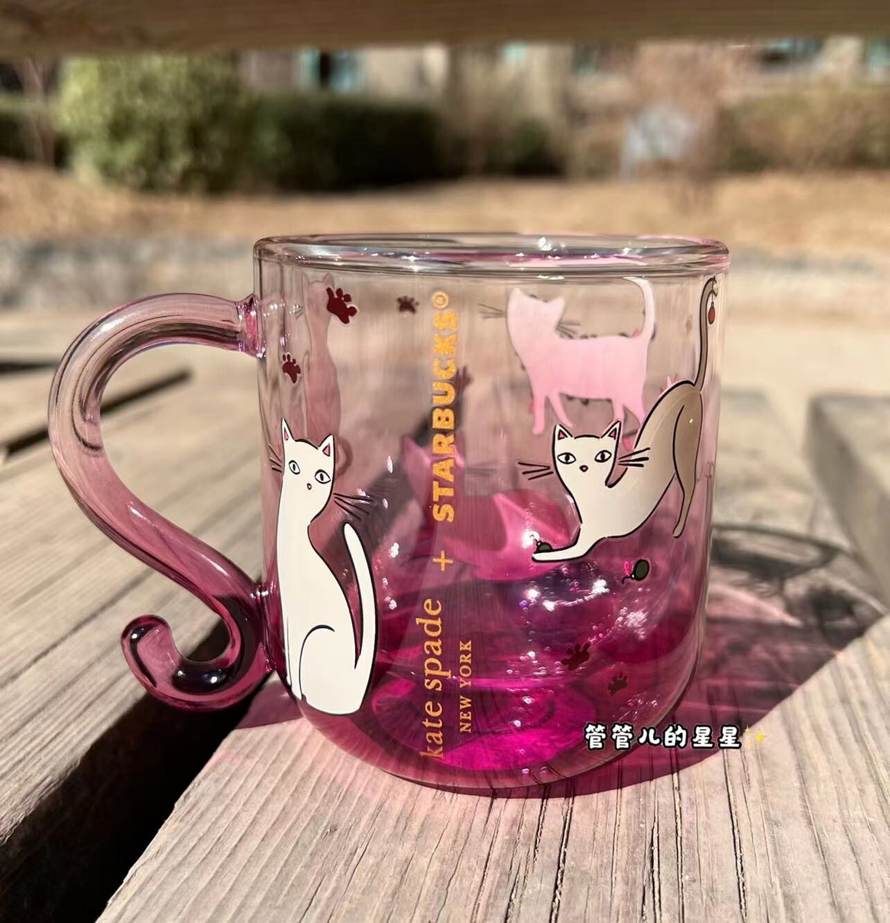 New 2023 China Starbucks X Katespade Cat Style 9oz Double
