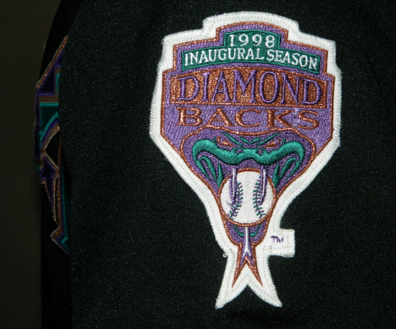 1998 Joel Adamson Game Worn Arizona Diamondbacks Inaugural ALT Jersey #38