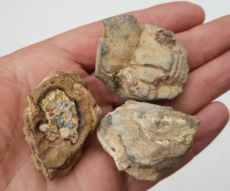 Schalenblende Mine Schmalgraf, La Calamine (Belgium)