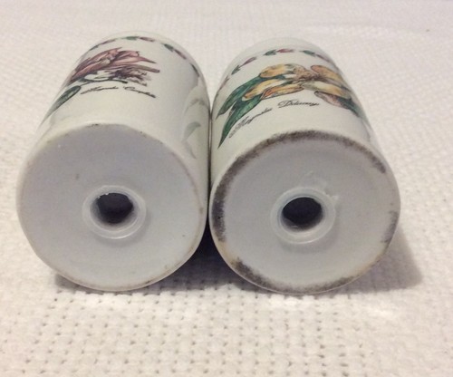 Vintage Magnolia Flowers White Glazed Stoneware Salt & Pepper Botanical Gardens