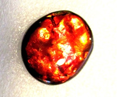AMMOLITE GEMSTONE 18mm x 16mm