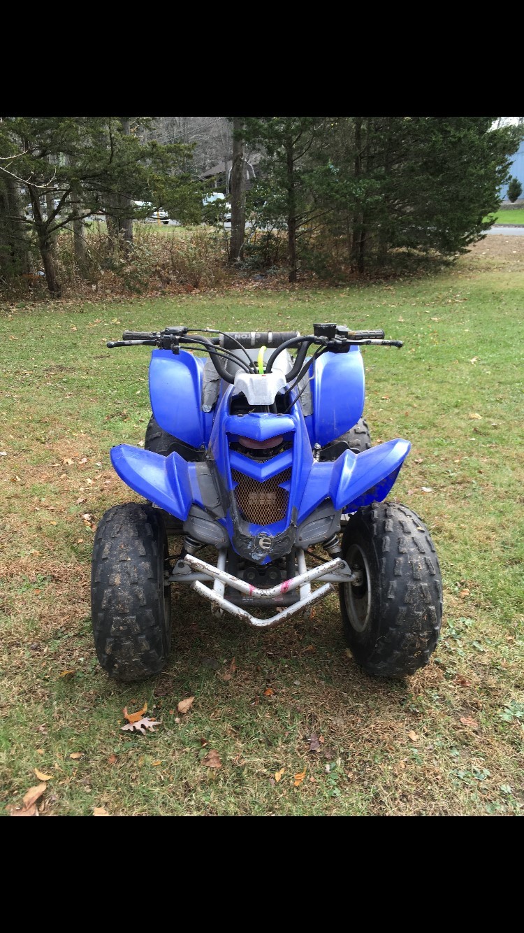 Eton 90cc Quad