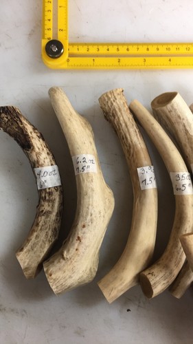 *1 Deer Antlers for Dogs, Antler Dog Chews, Long Lasting Deer Antlers