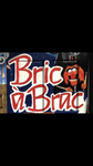steves1bricbrac2011