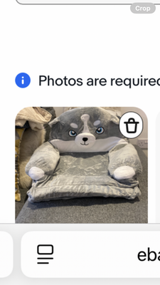 Foto dell'oggetto di un acquirente verificato