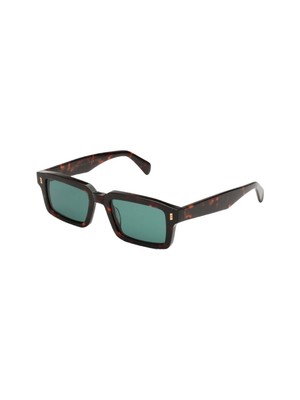 New Sunglasses Brand GAST Model VOV Classic Havana VV02 Super Authentic