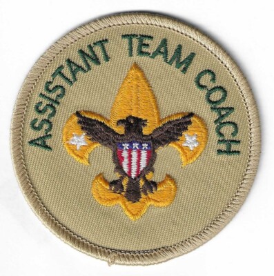 BSA VARSITY ASSISTANT TEAM COACH POSITION ADULT LEADER TAN 100TH 2010 BACK MINT