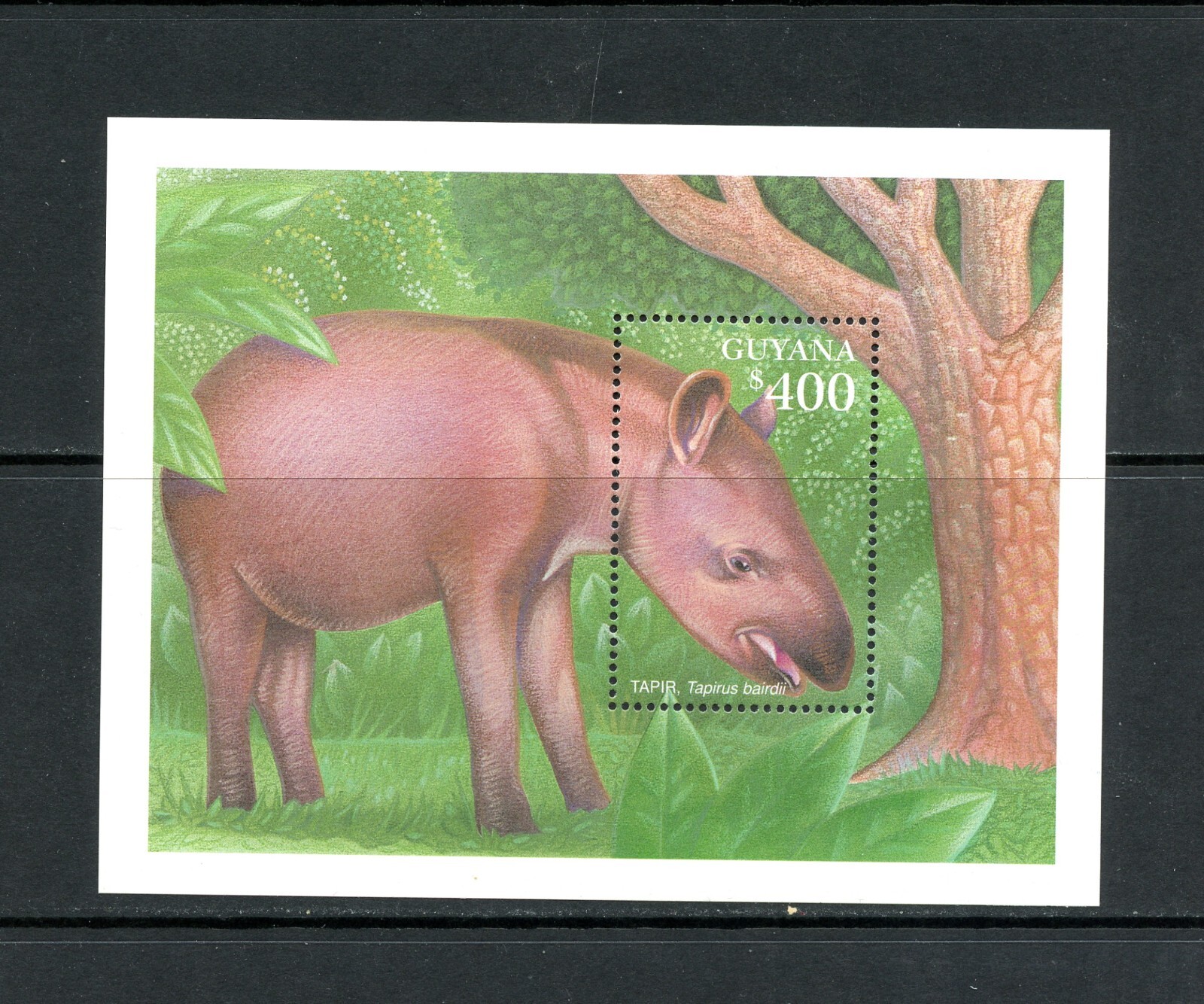 Footprint Guyana%ｶﾝﾏ% Guyane &amp; Suriname (Footprint Handbooks) Guyana 38a, MNH, Sport Cracet full sheet x3030 | eBay