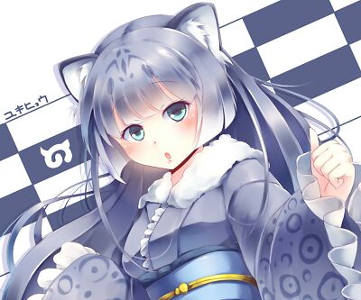 Anime kemono friends  snow Playmat Gaming Mat