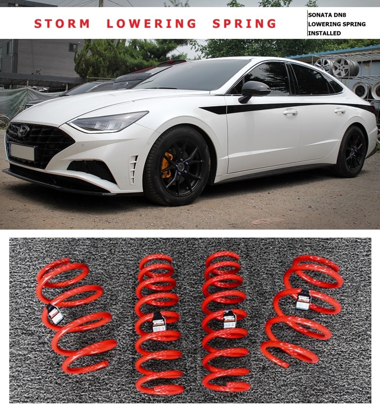 LOWERING SPRING F & R (1 inch lowering) for 2020 - 2025