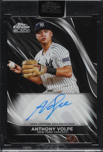 その他 anthony volpe Cherry parallel 2024 Topps Japan Edition Anthony Volpe /99 Cherry Blossom