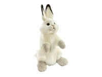 hansa rabbit