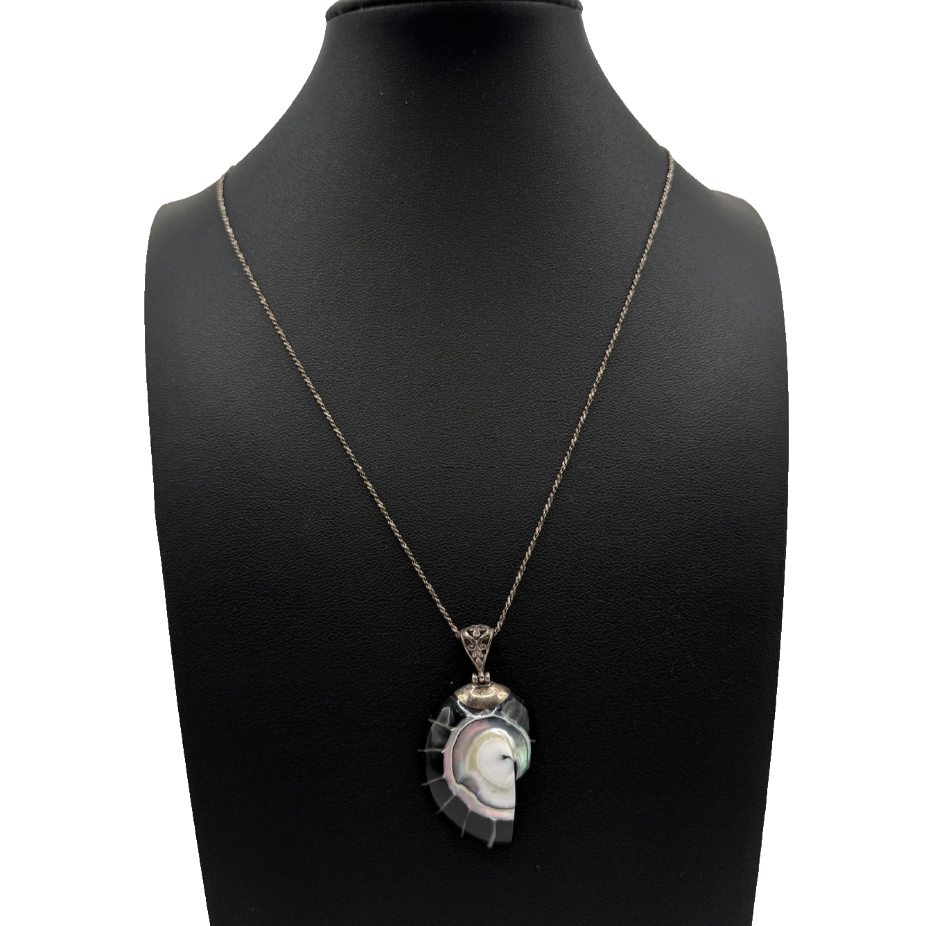 アクセサリー Nautilus silver and cord necklace Vintage Nautilus Shell Necklace – Dovetail