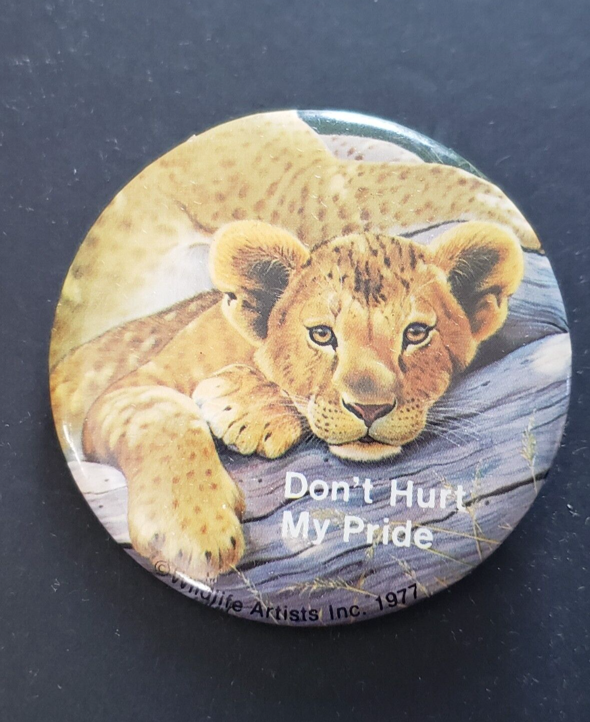 Don't Hurt My Pride Lion Cub Log 2.25 in Round Pinback Button