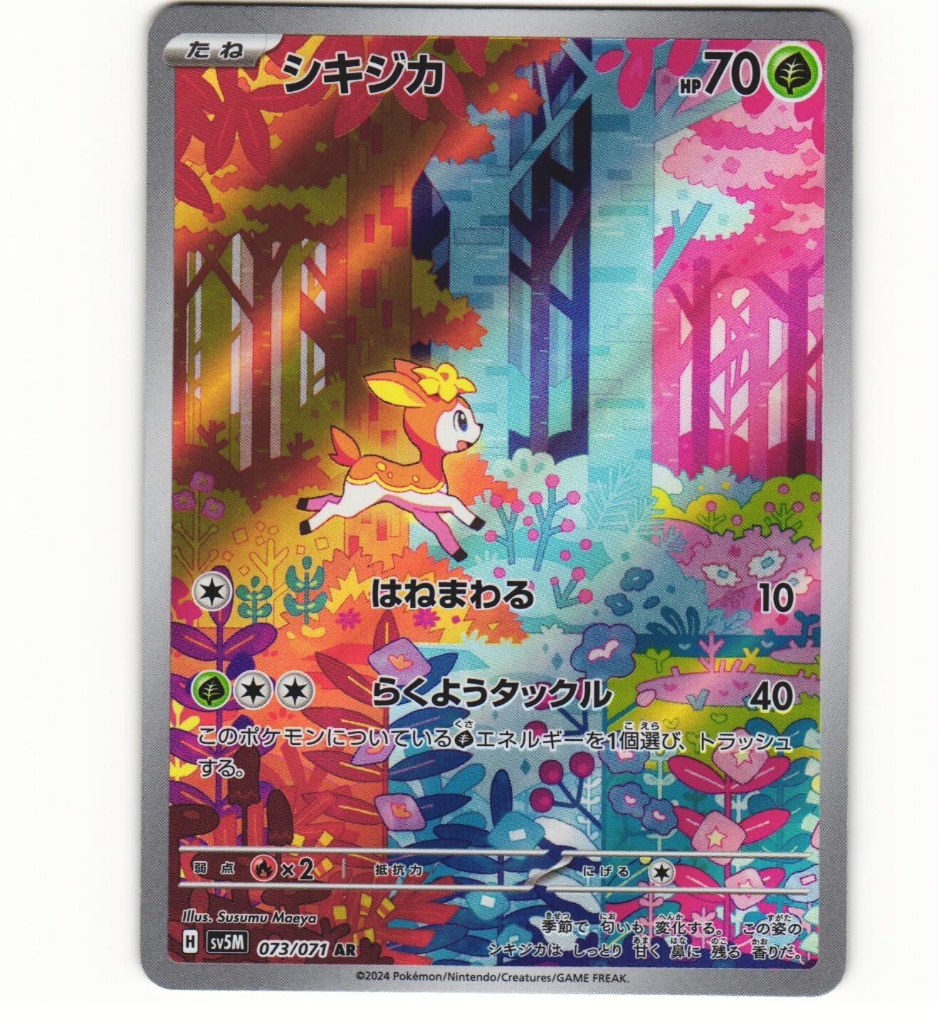 ドラゴンズ・サイン プロモ リモート 2025年最新】ドラゴンズ・サイン プロモの人気アイテム - メルカリ