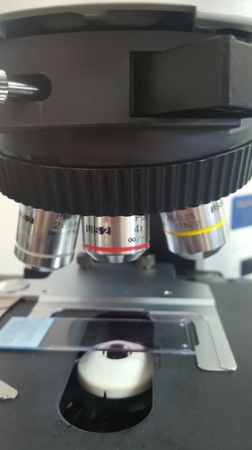 Olympus Microscope BX41 with 2X and side by side bridge MOHS Microscope